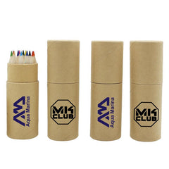 Small Colour Pencil Set In Eco-Friendly Cardboard Tube (12)