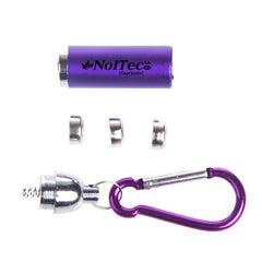 Coloured Mini Torch Light With Matching Carabiner