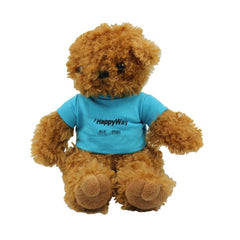 20cm Teddy Bear Plush Toy With T-Shirt