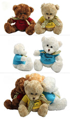 20cm Teddy Bear Plush Toy With T-Shirt And Checkered Ribbon
